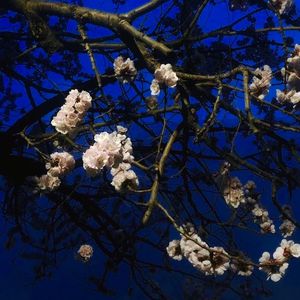 关晓彤ai裸体❌❌喷水
