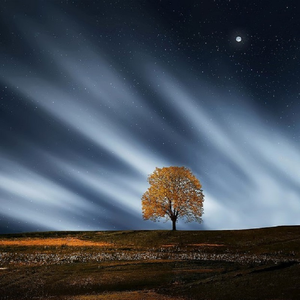 关晓彤ai裸体❌❌喷水
